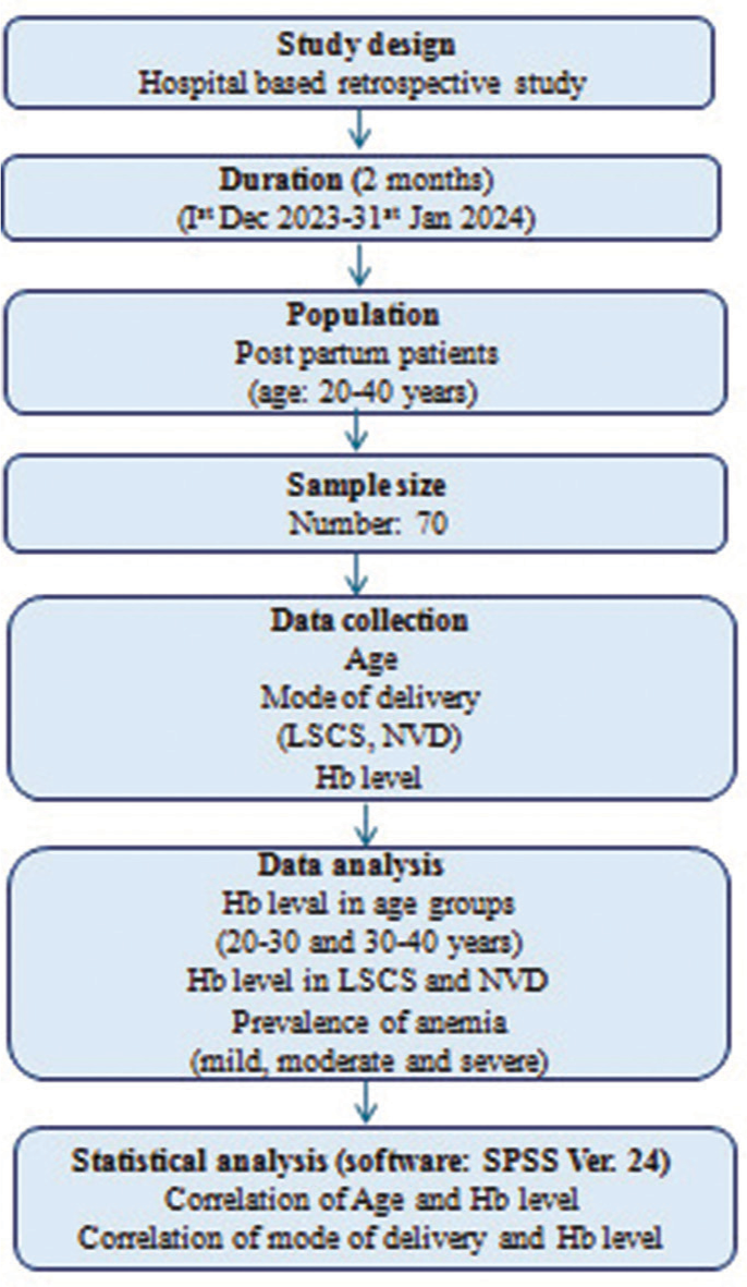 Flow chart of the retrospective study on PPA. PPA: Postpartum anemia, Hb: Hemoglobin, LSCS: Lower segment cesarean section, NVD: Normal vaginal delivery.