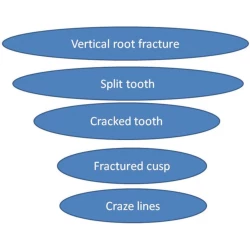 Article figure