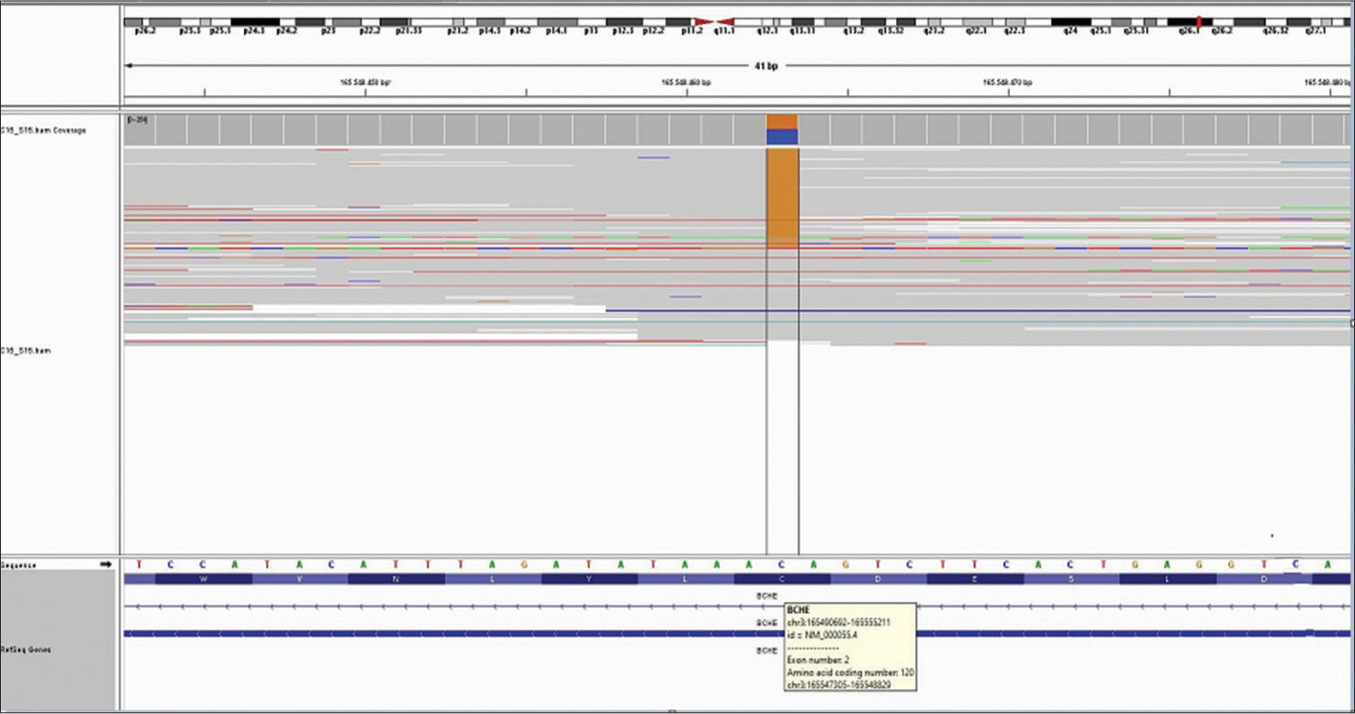 Genetic map of the patient.