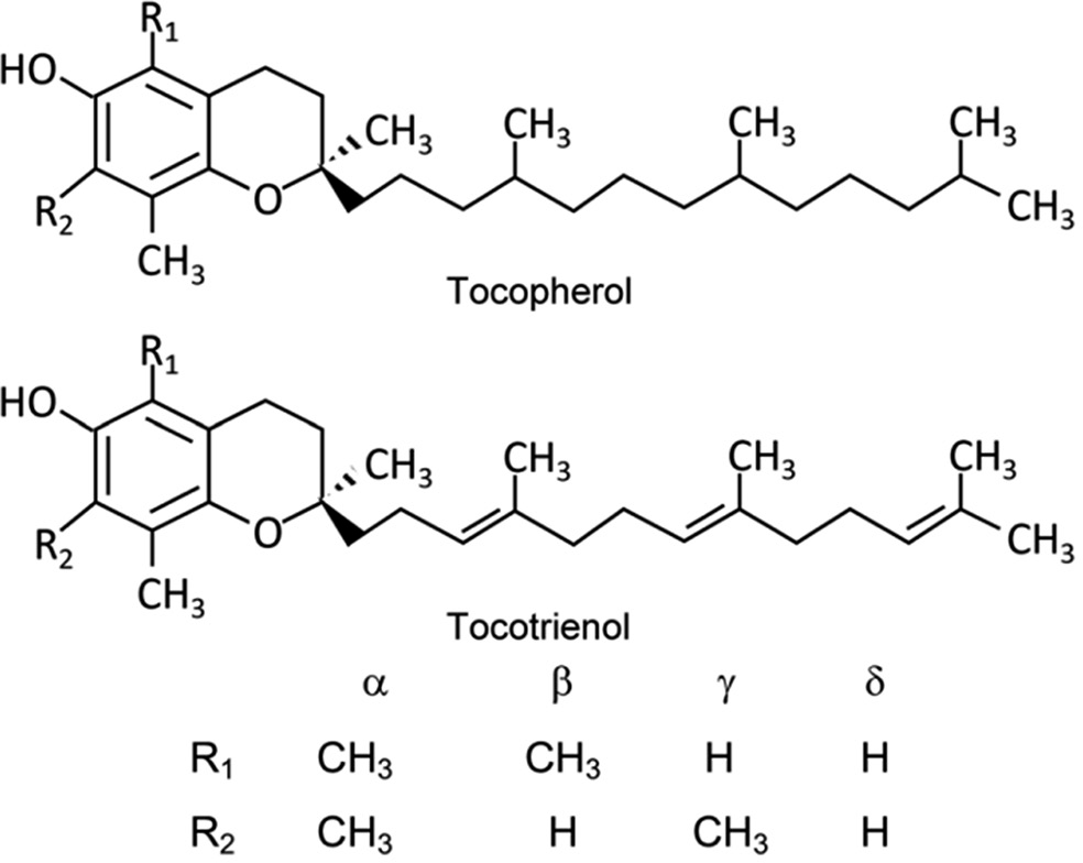 Showing chemical structure of Vitamin E